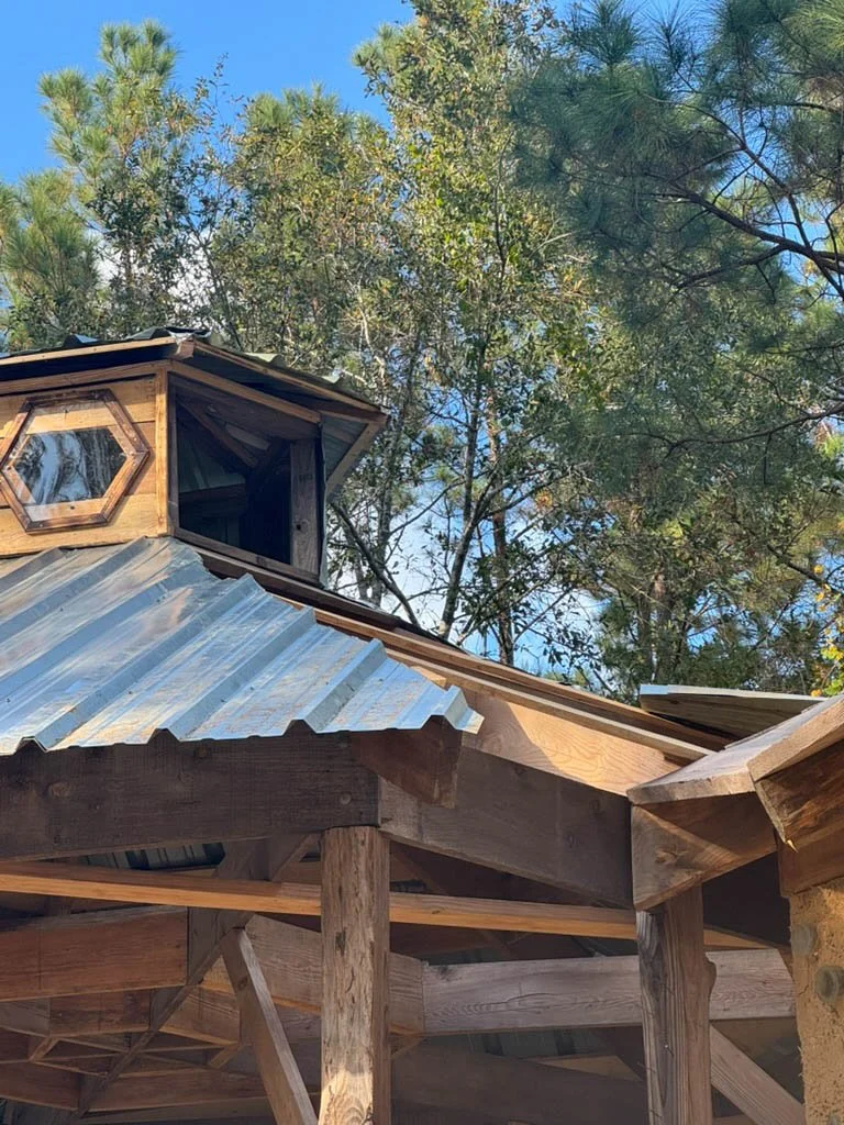 Misha Mayeur (39).jpg