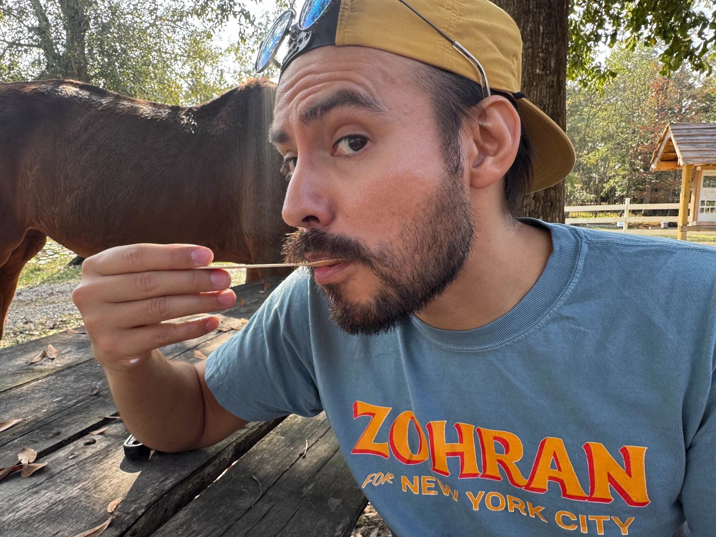 Misha Mayeur (9).jpg