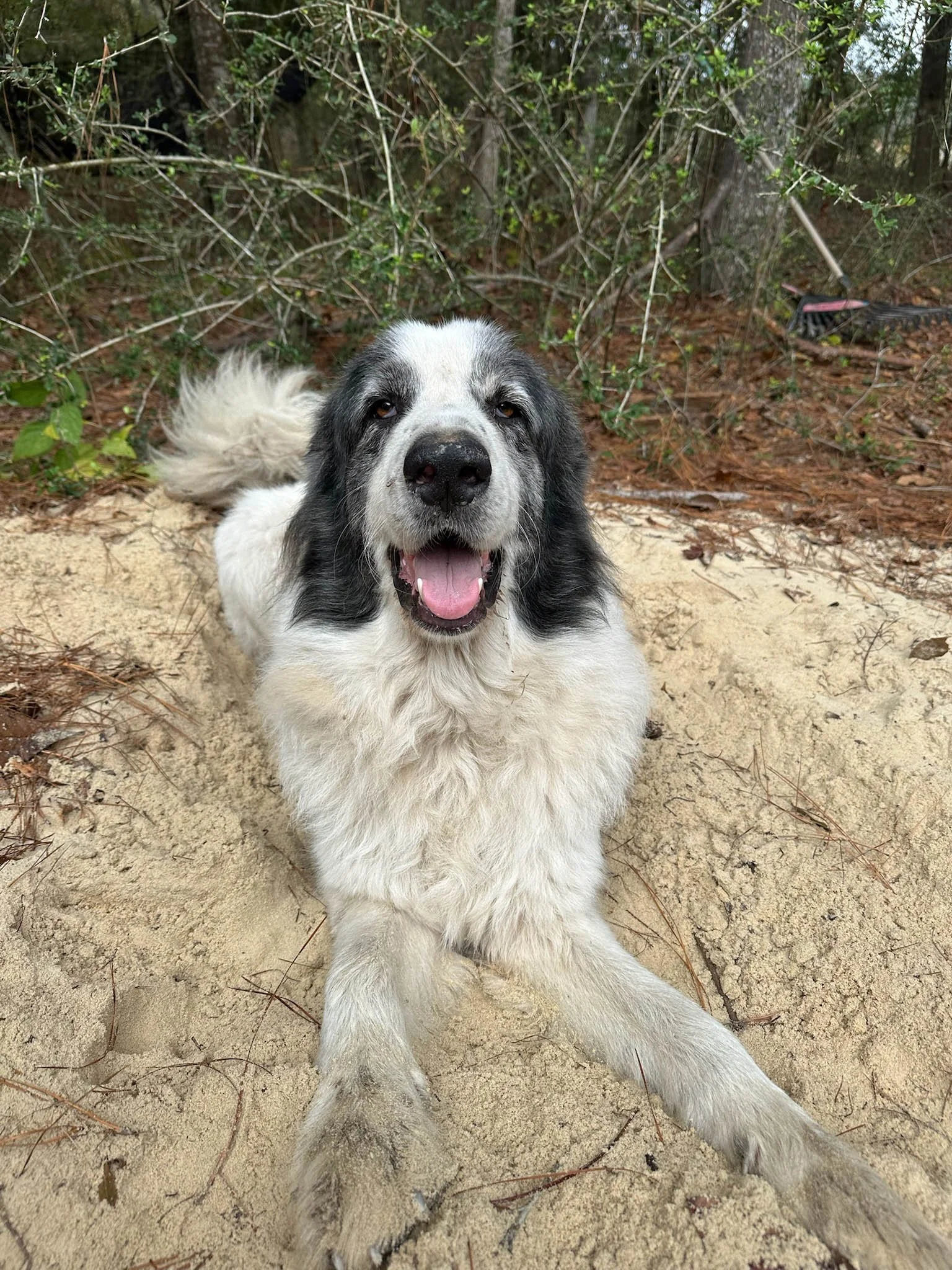 Alyssa Portaro (50).jpg