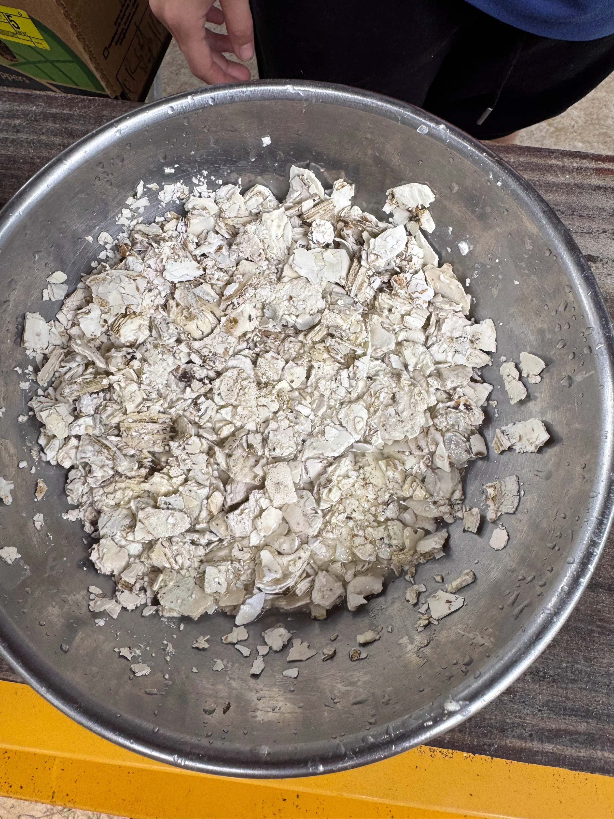 Misha Mayeur (44).jpg