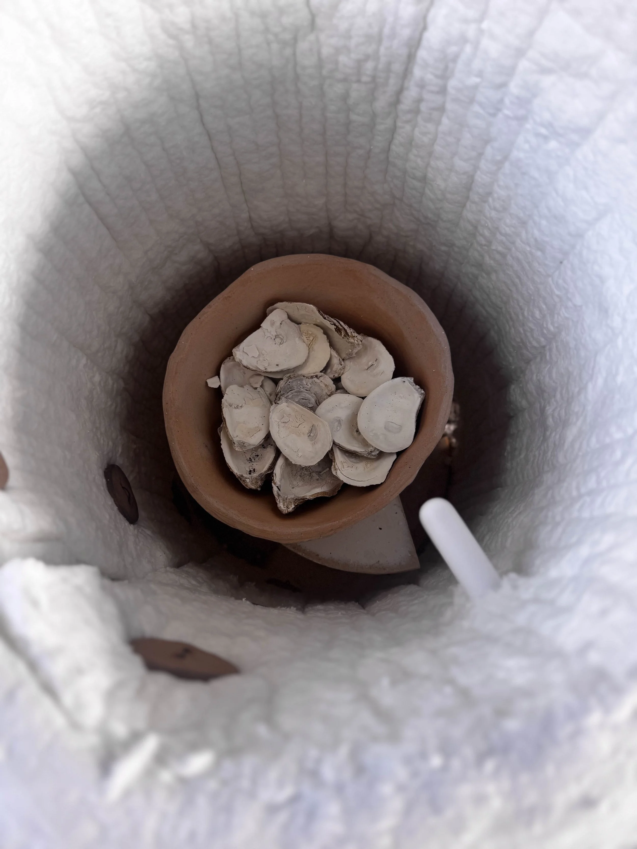 Jess Conard  (2).jpg