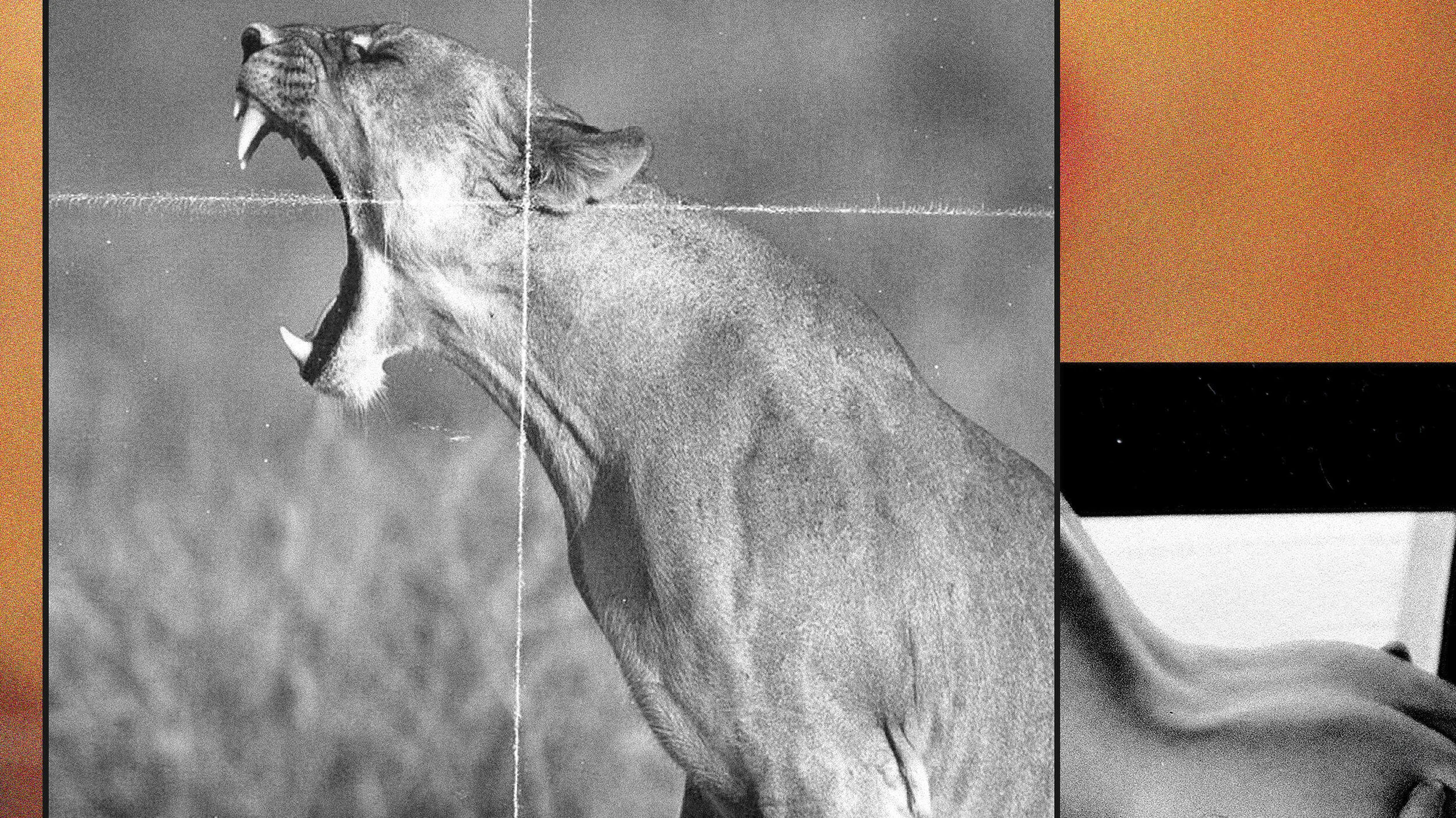   Émir Shiro Uncensored (Playboy)  