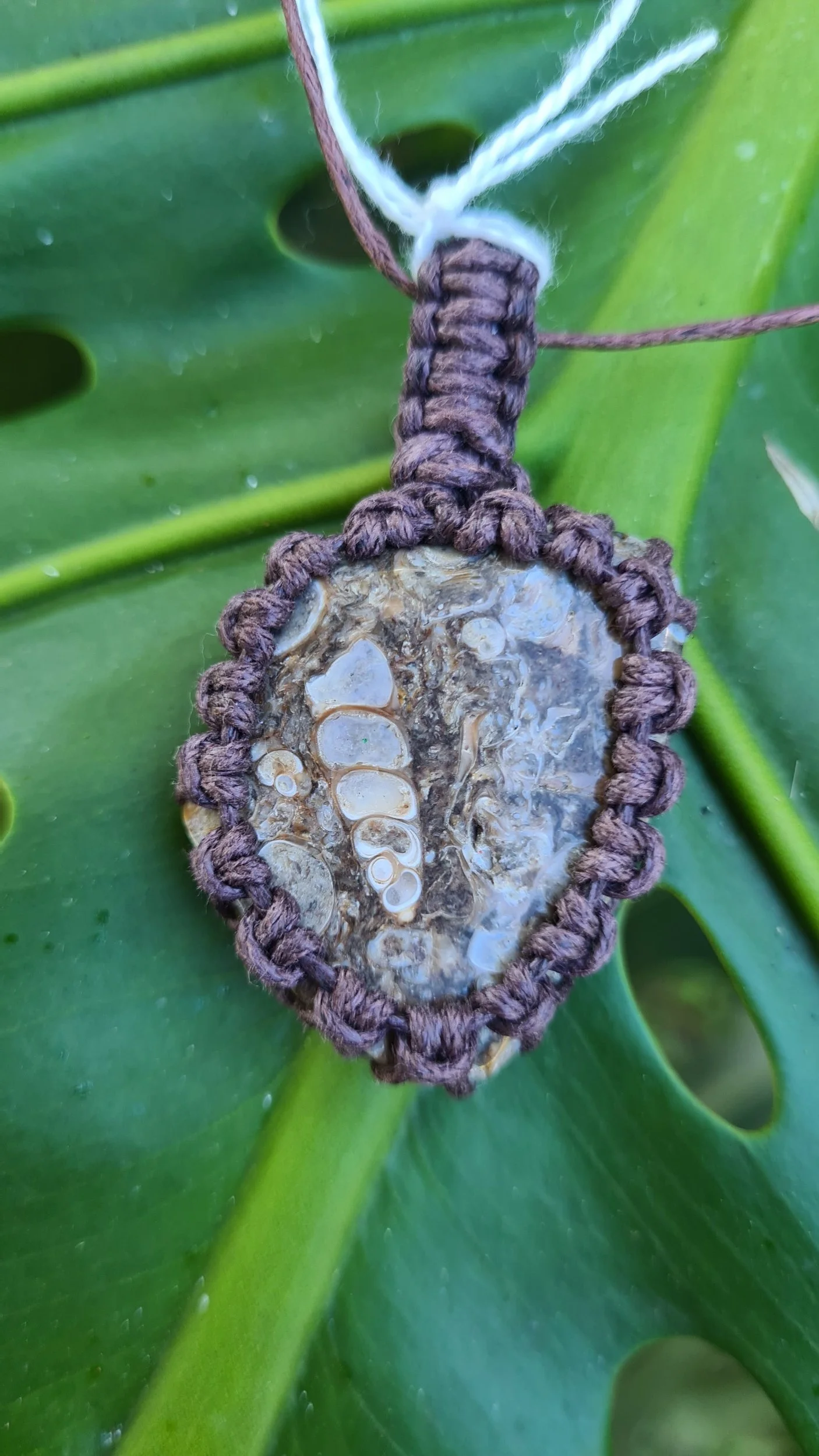 Turritella Fossil Pendant - TF001