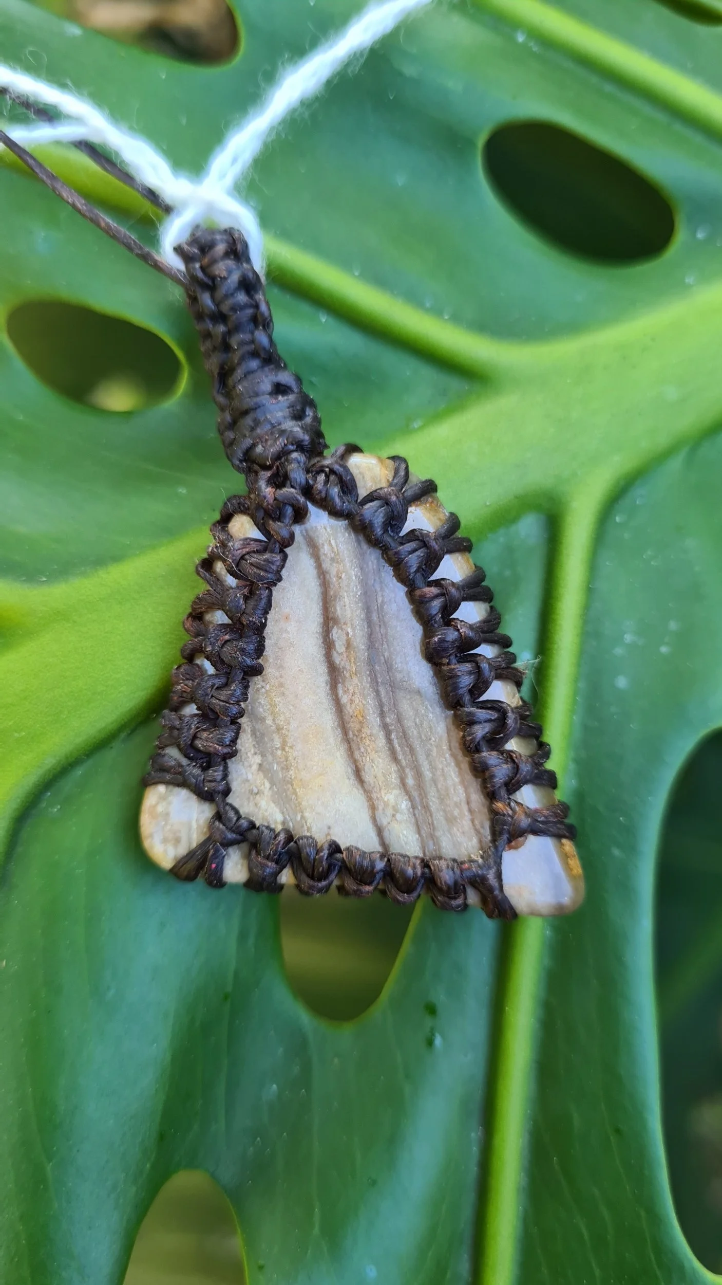 Petrified Wood Pendant - PW009