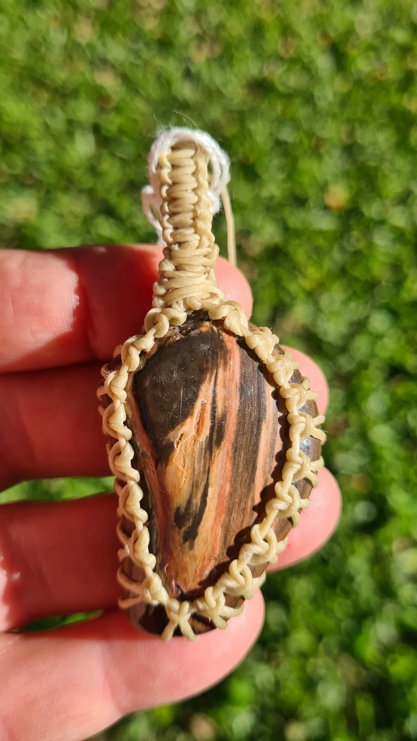 Petrified Wood - PW005