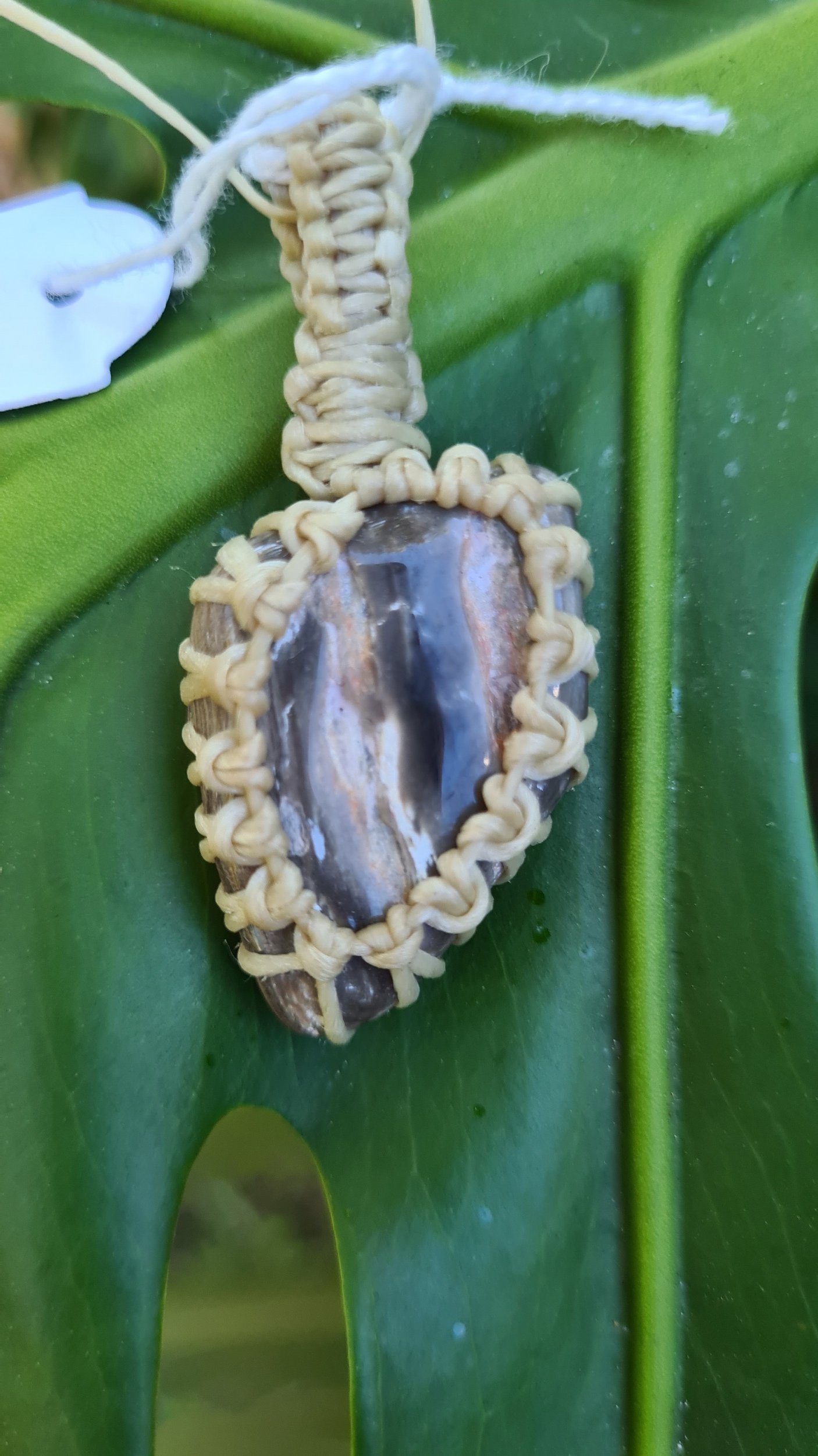 Petrified Wood Pendant - PW007