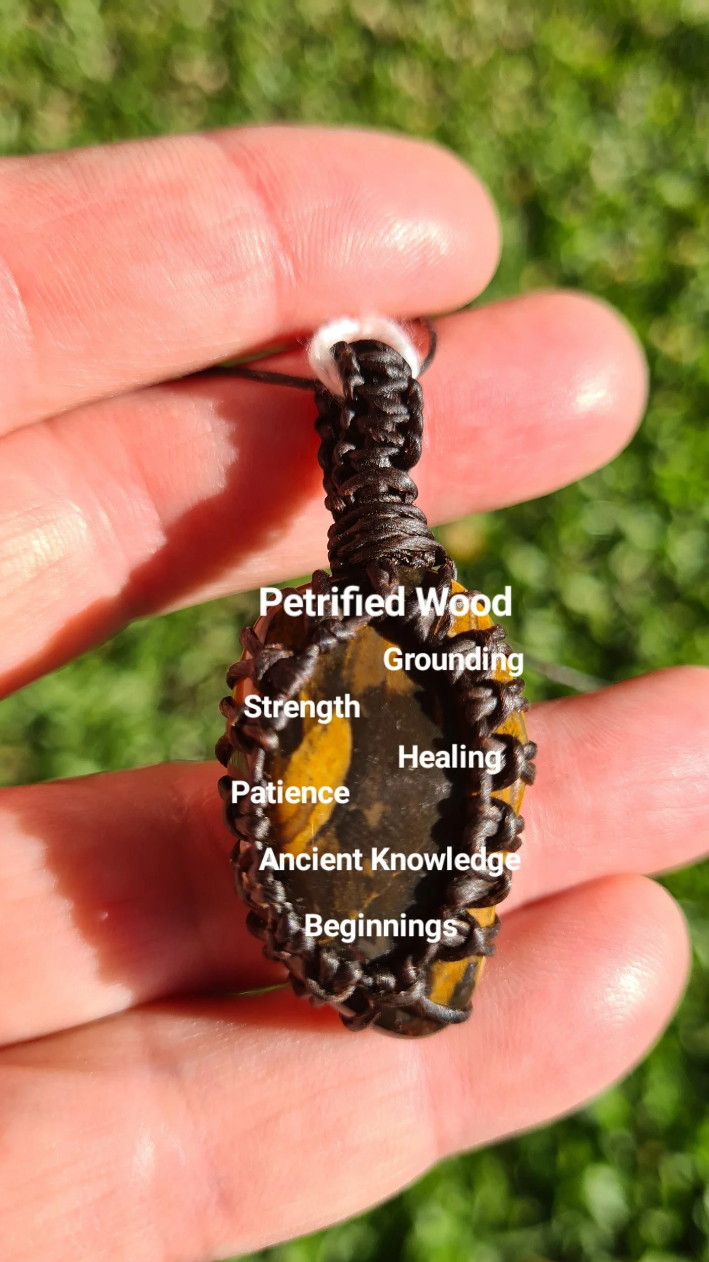 Petrified Wood Pendant - PW003