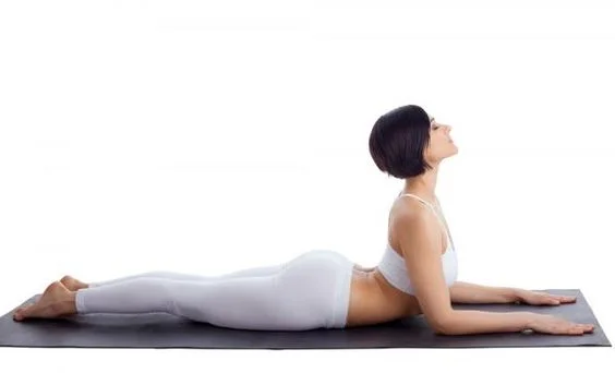 breaking muscle.com