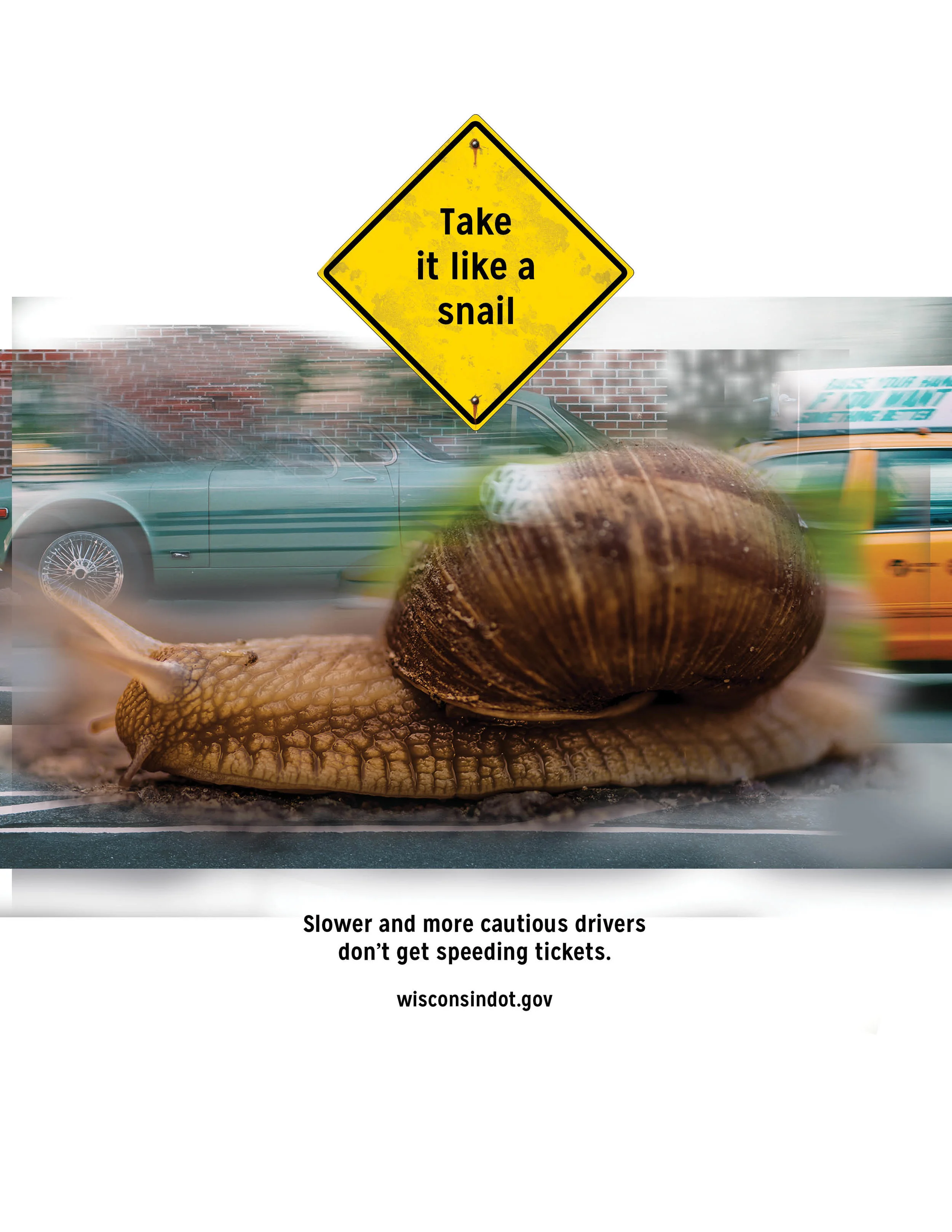 Snail PSA.jpg