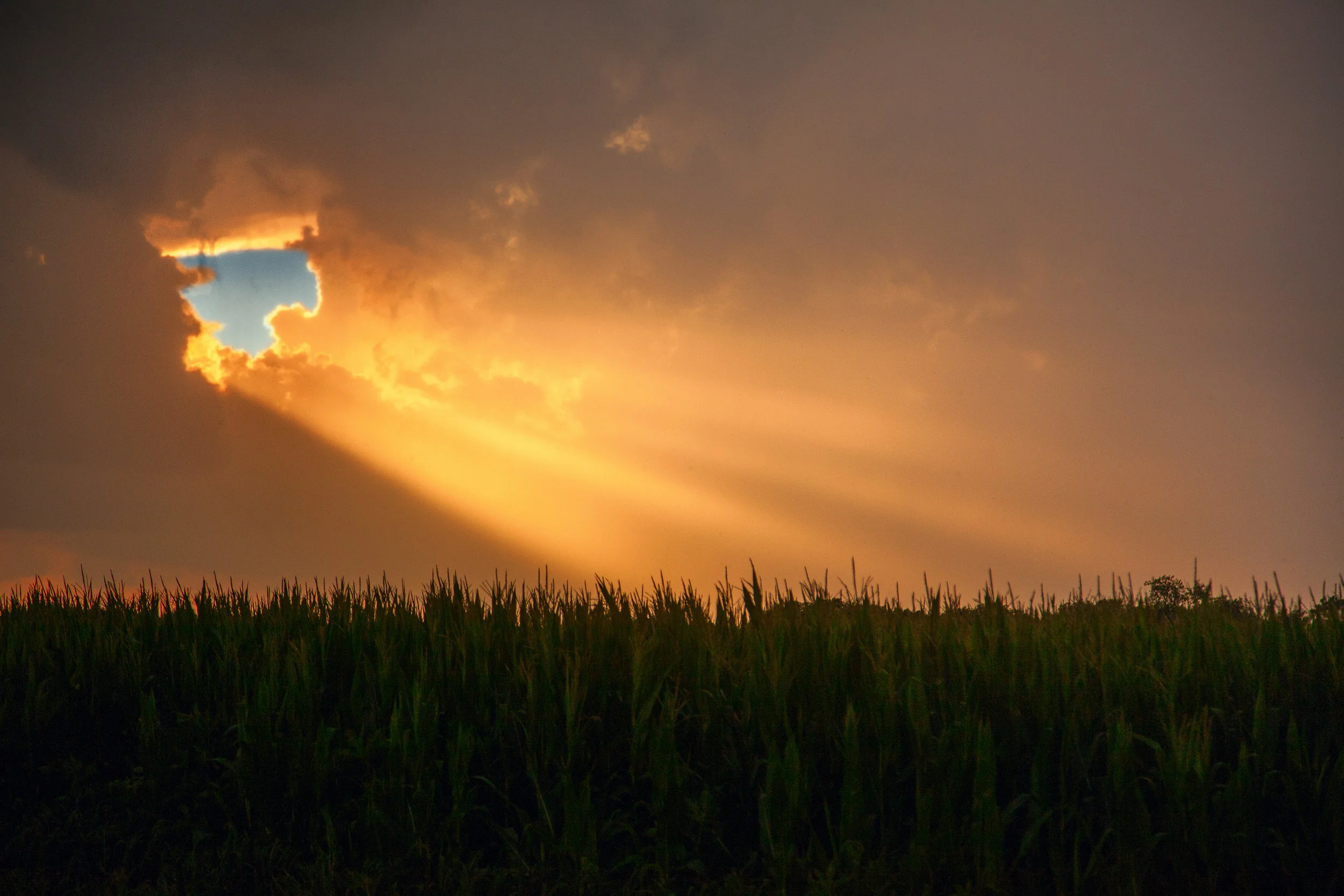 sky rays.jpg