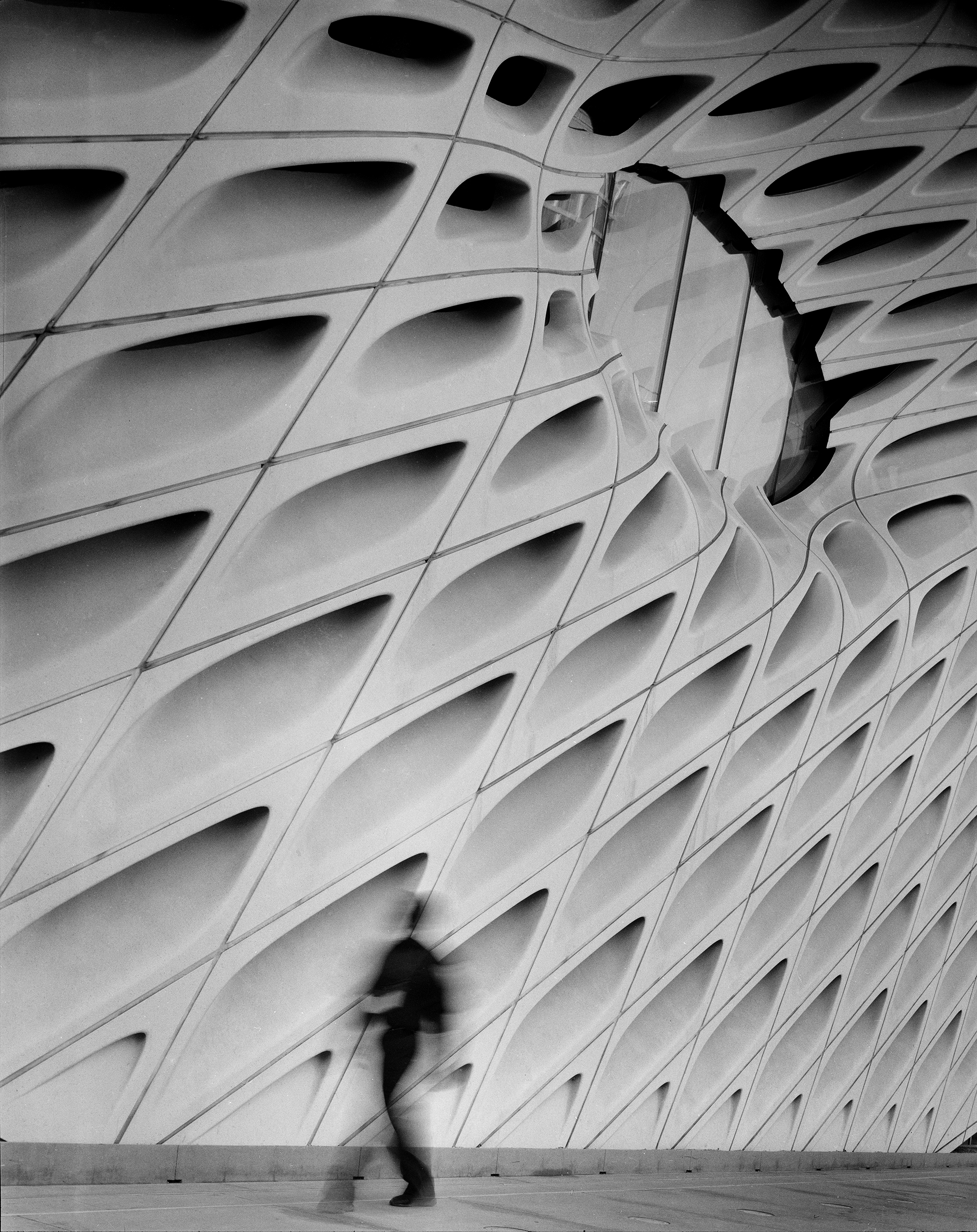 IMG_8292-Pano cropped.png