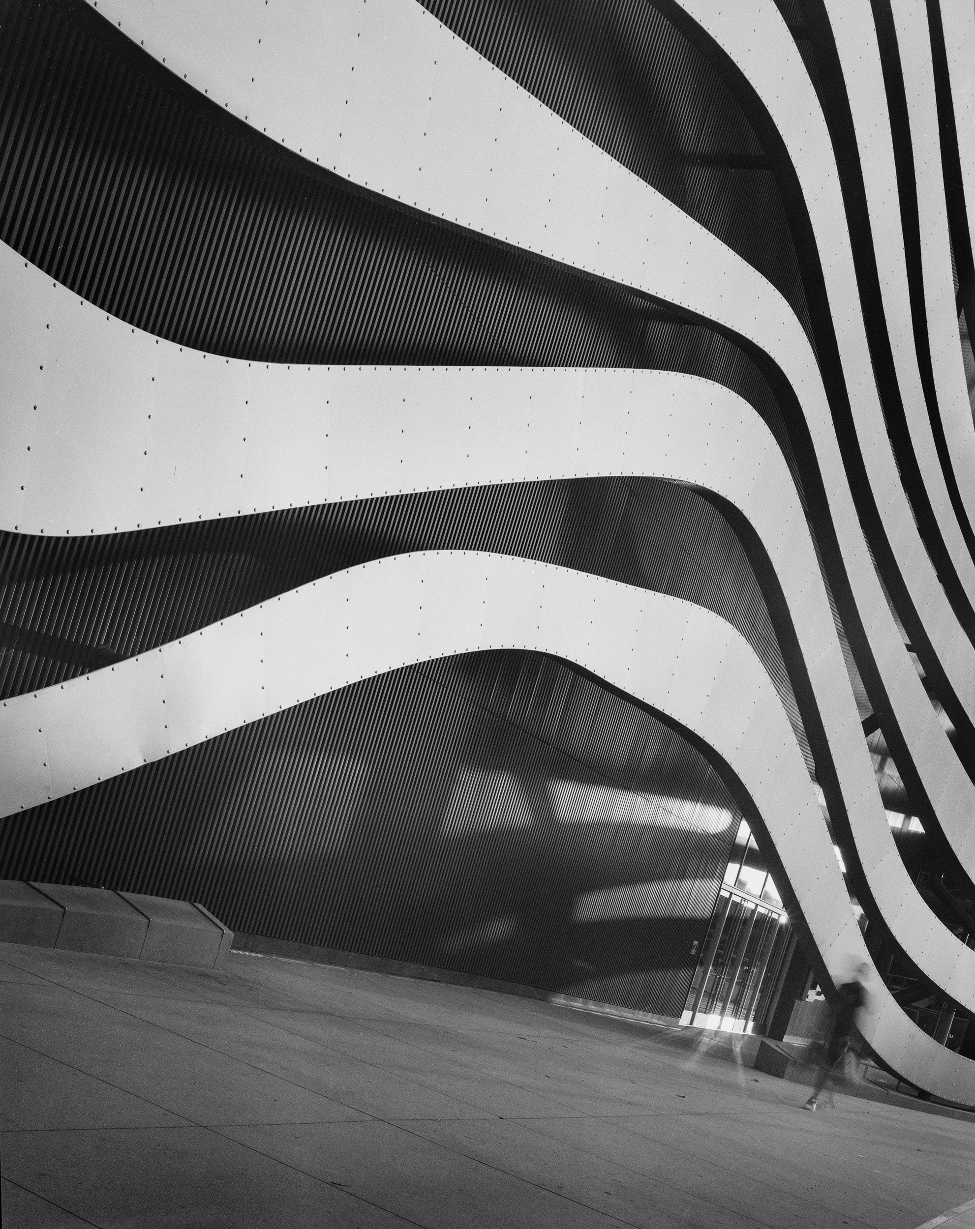 IMG_8274-Pano Cropped copy.png