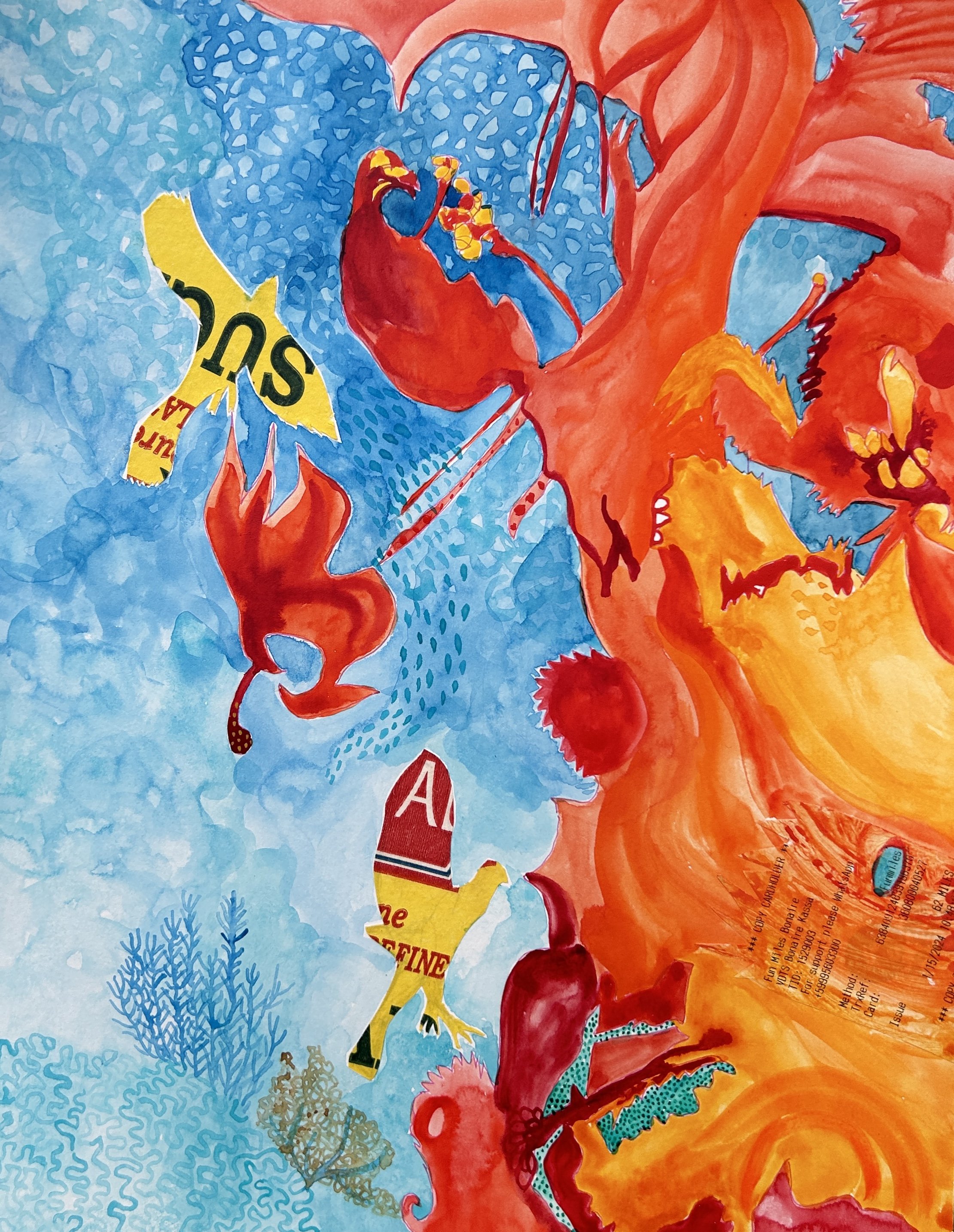 The Illusive Seahorse, 2024