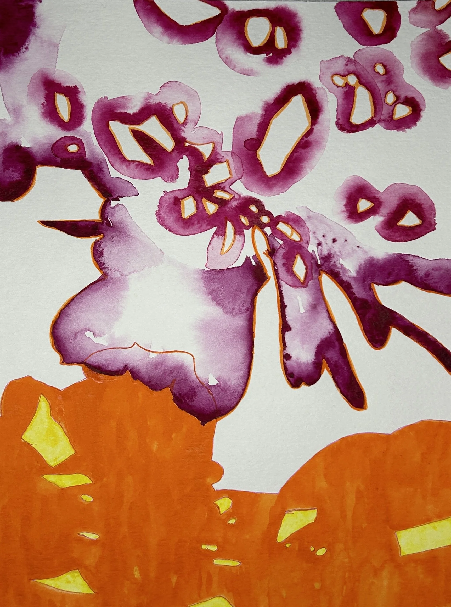 Desert Rose and Trupial, 2024