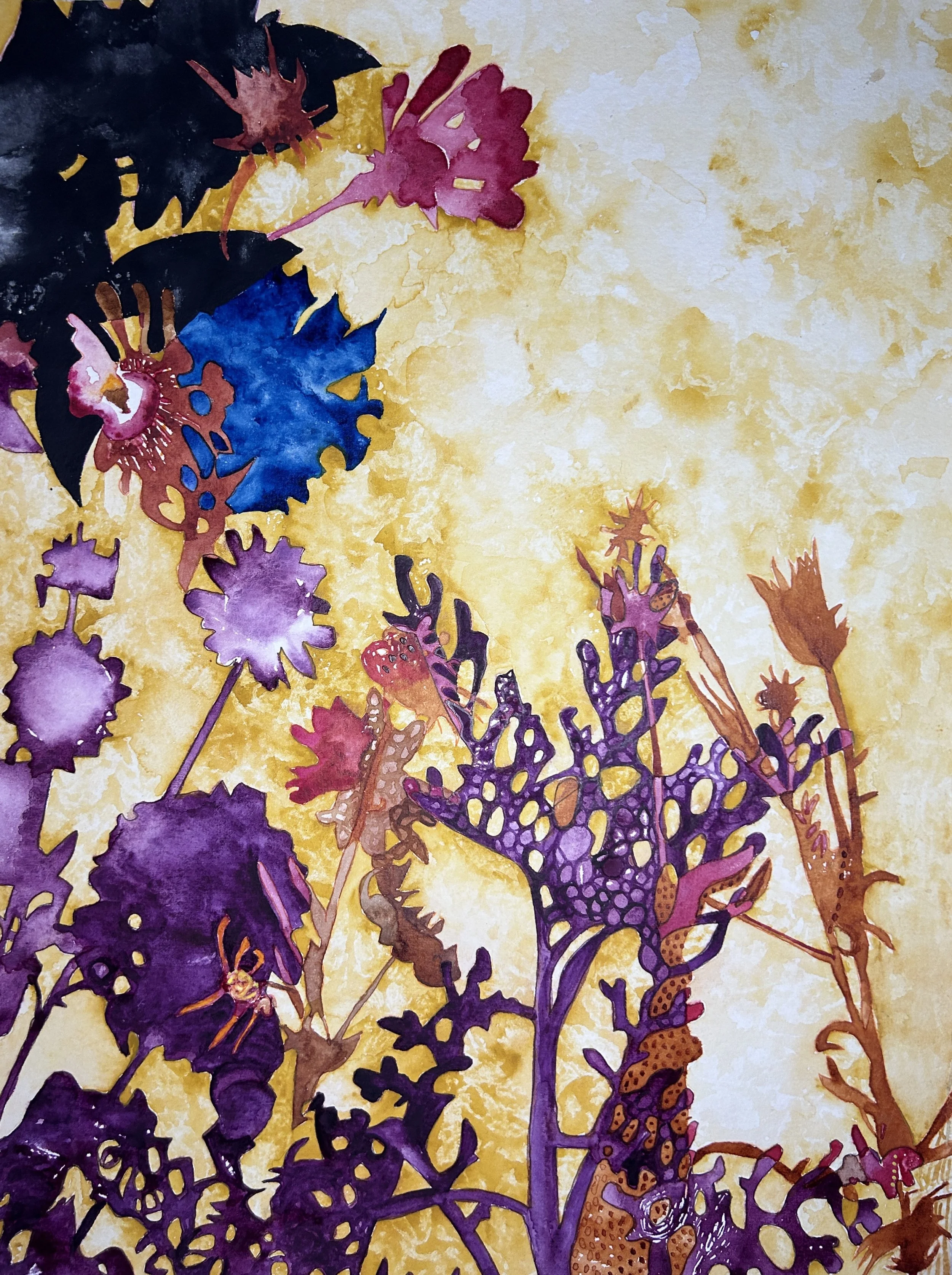 Columbine and Zinnia, 2023