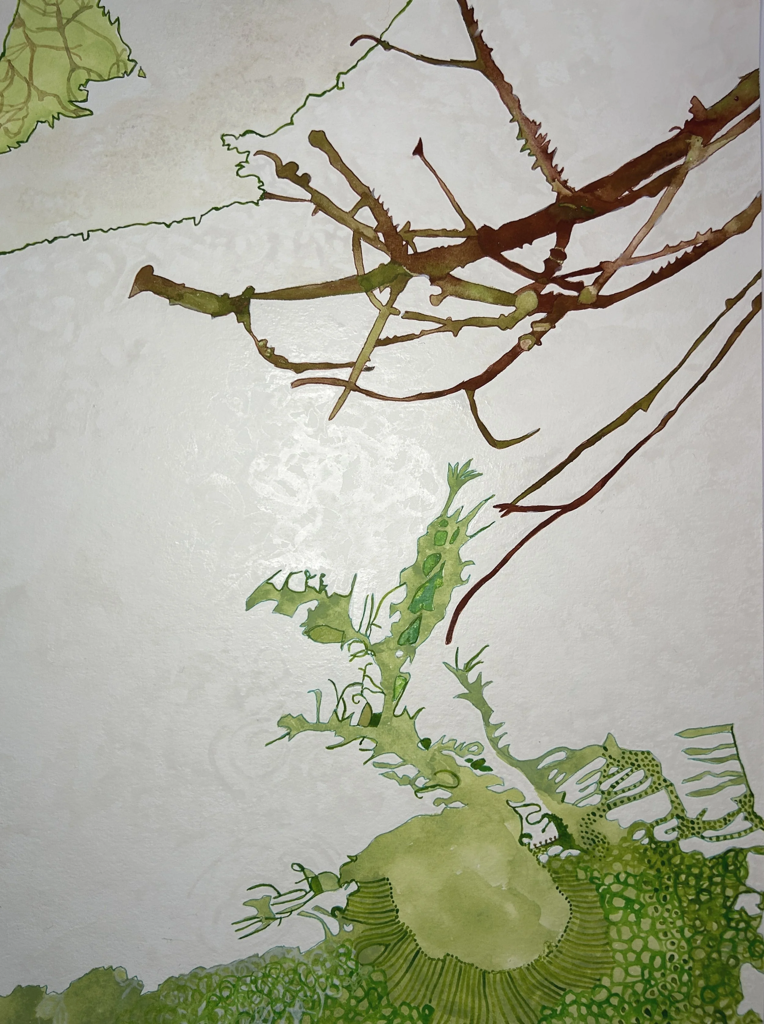 Crater Lake Cenote', 2023