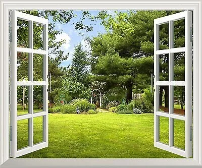 window.jpg