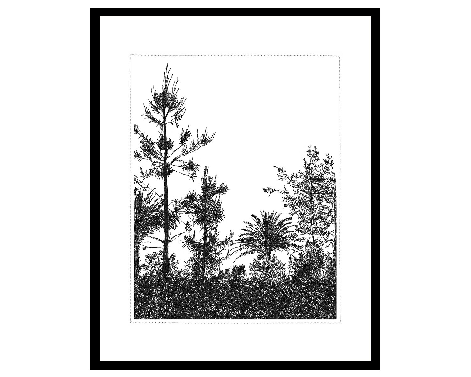 SilhouetteSketch-ArchiveBW.jpg