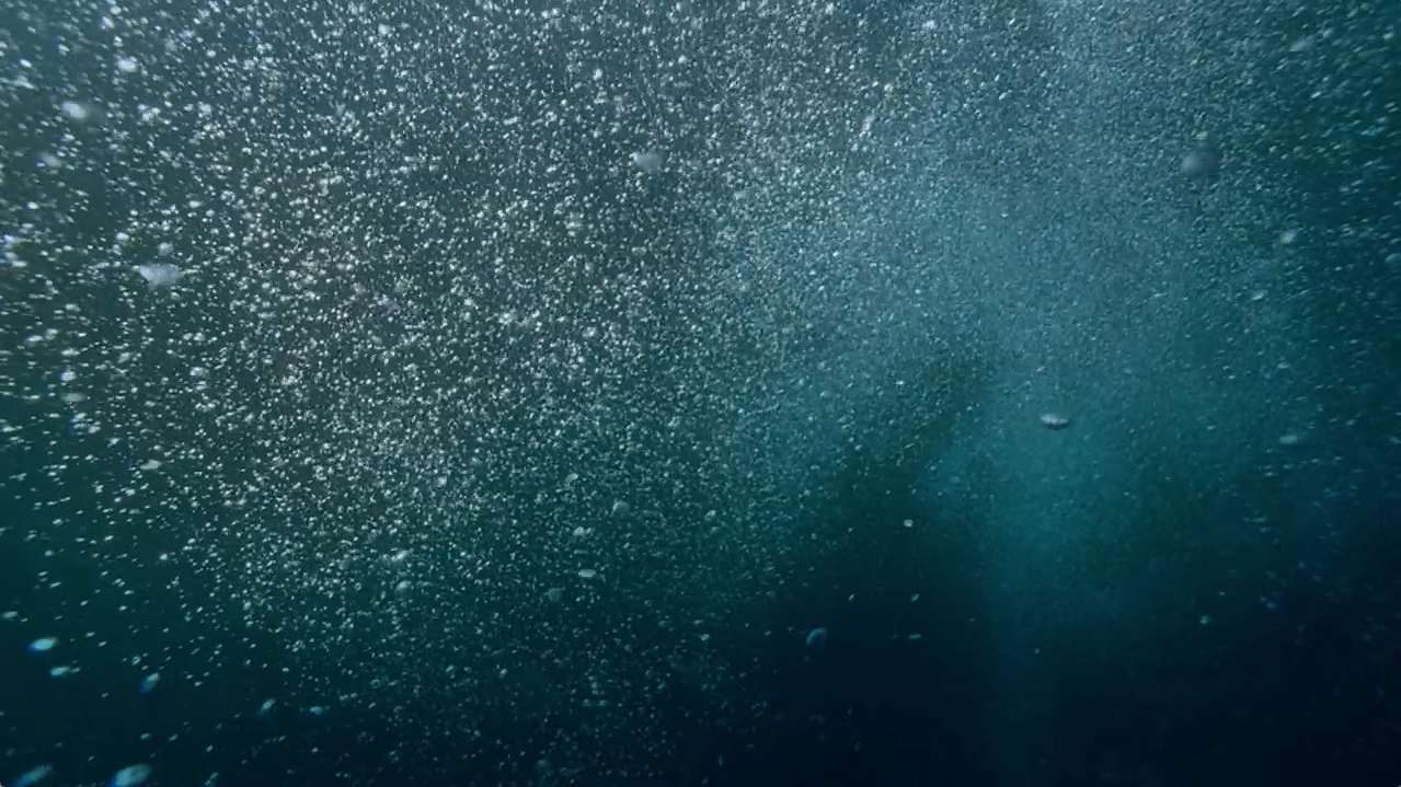 Screen Shot 2017-11-29 at 1.17.37 PM.png