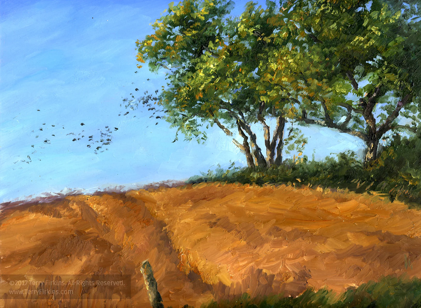 0288ol_98.leafingjpg.jpg