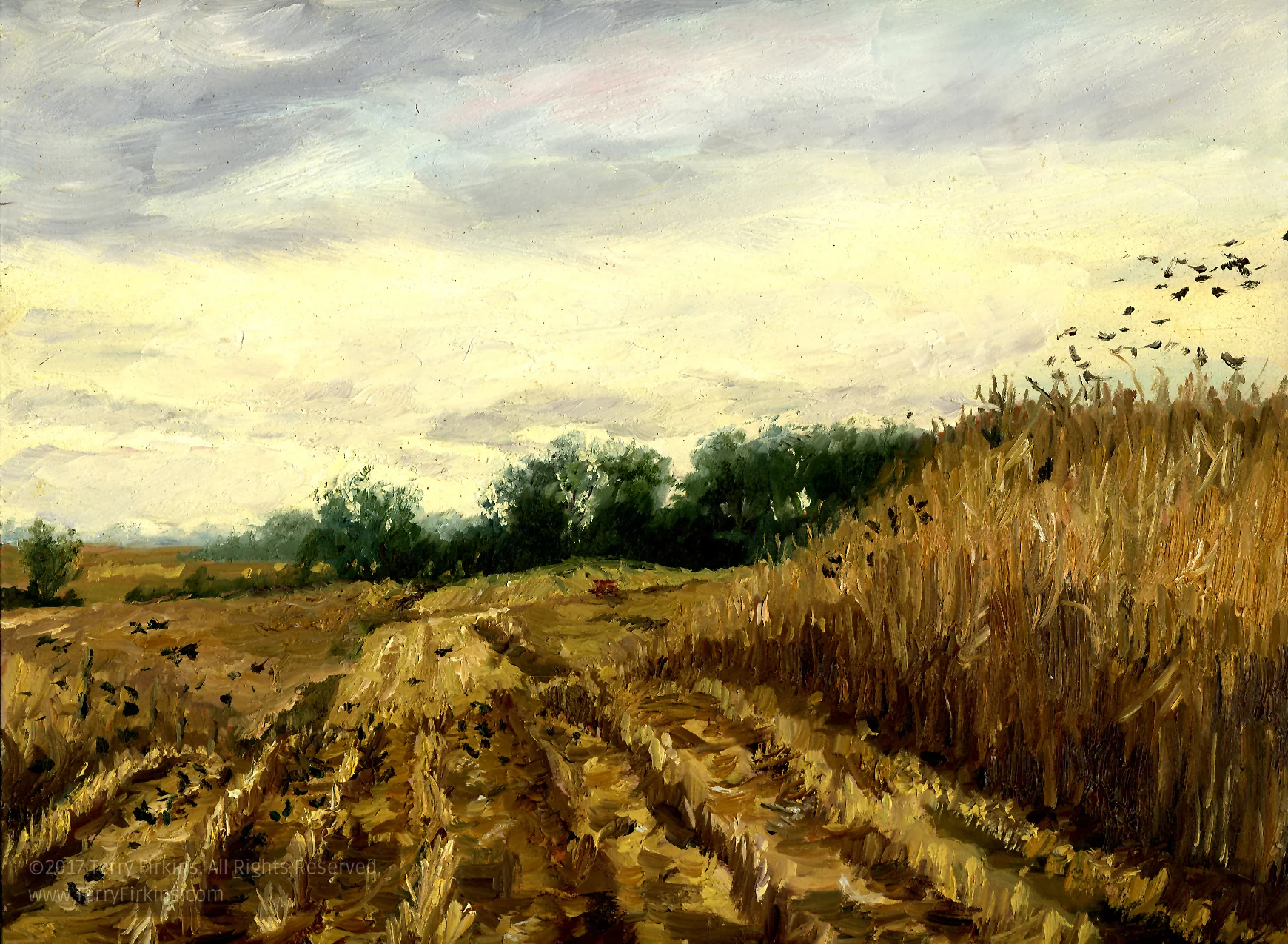 0291ol_98first cut.jpg