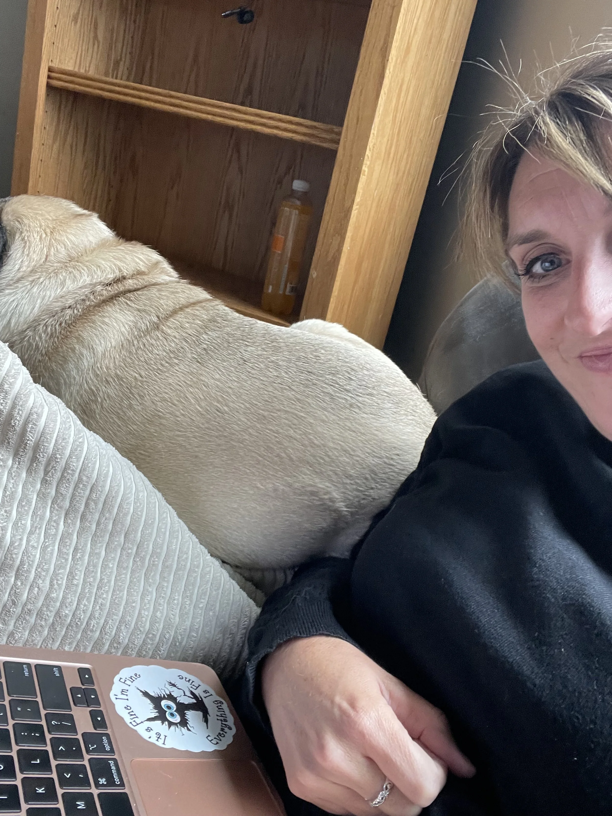 Writing, Reading, and Life Updates!