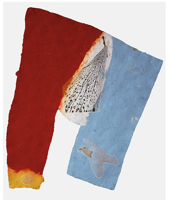 • Robert Rauschenburg: Photo montage/screen printing/multiples •