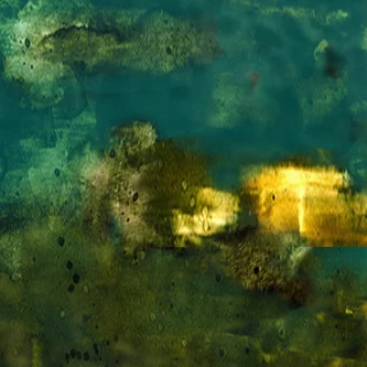 Painting CU.jpg