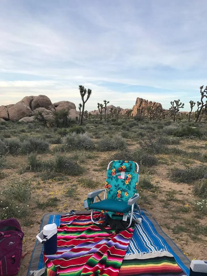 S1E2: Tripping on a Blanket With Trump