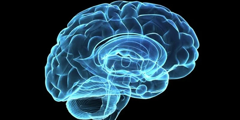 S1E11: Meditation Is An Inside Job