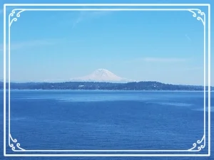 Perspective Collecting: Where are the best summers?