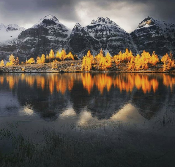 5 Ways To Roll With Mercury Retrograde