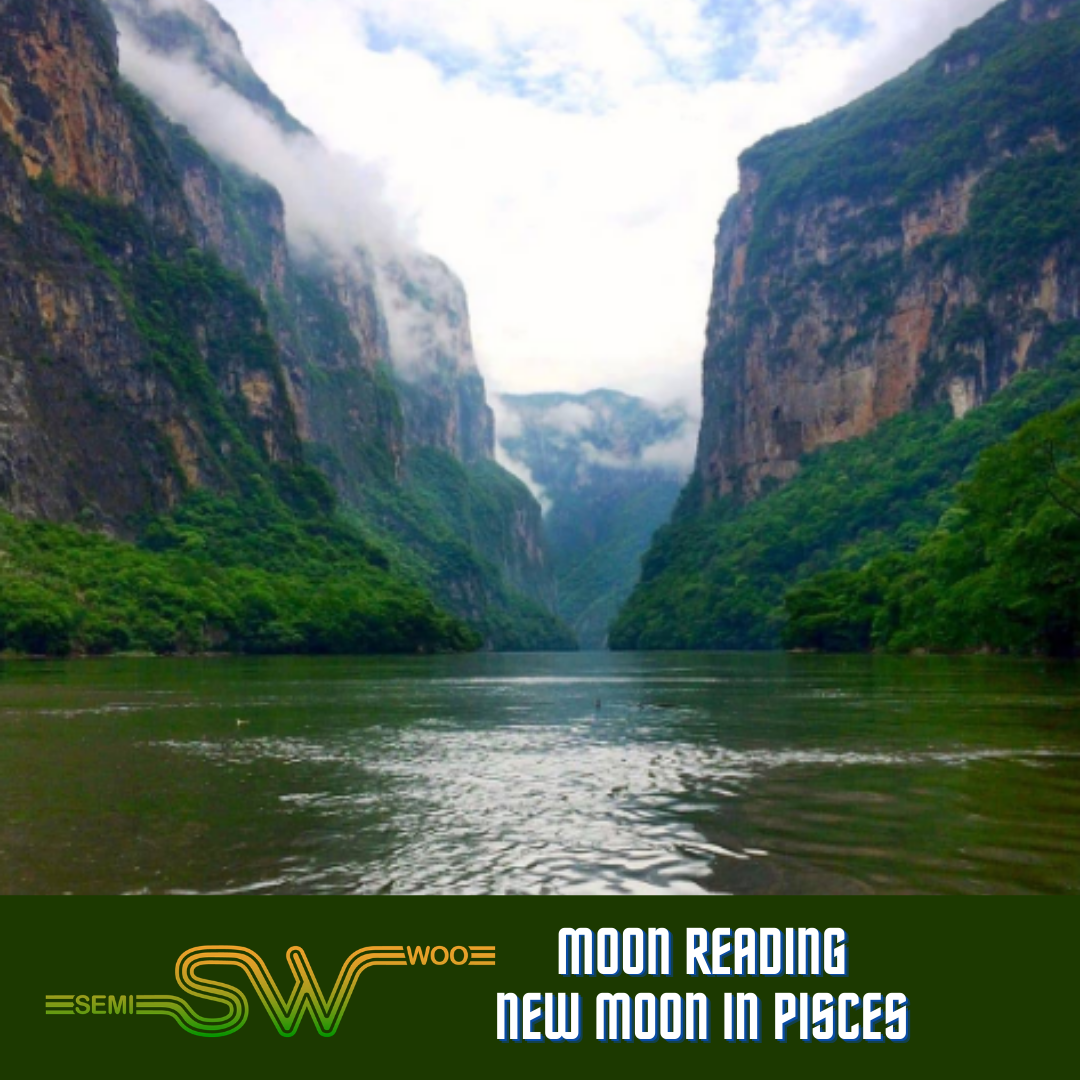 Semi Woo Moon Reading: New Moon in Pisces