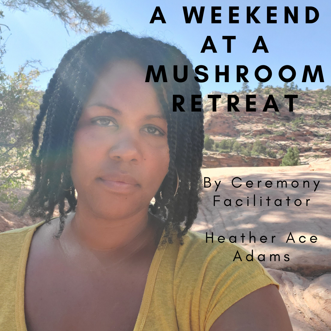 A Weekend at a Mushroom Retreat