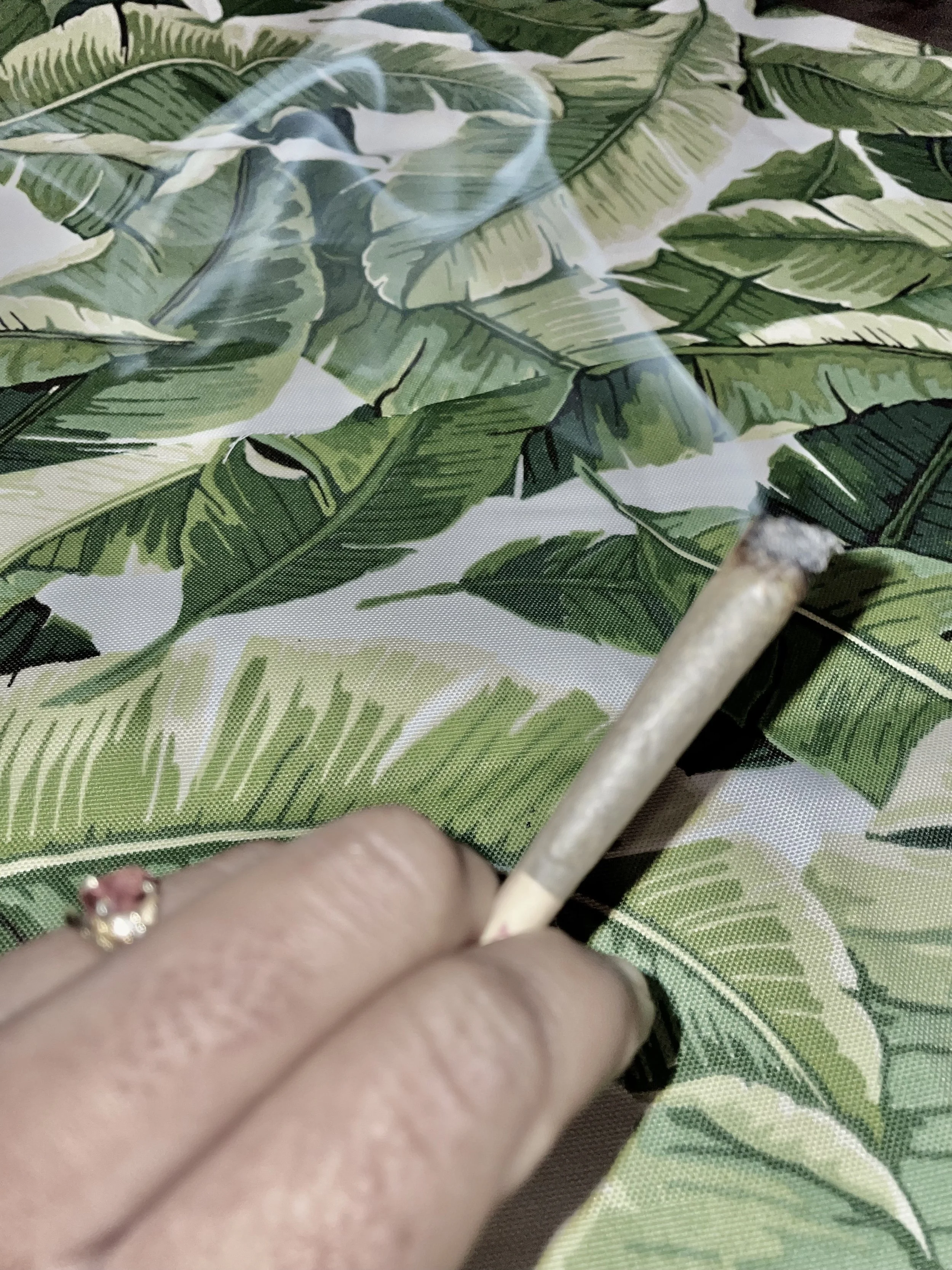 Reclaiming Cannabis For The People