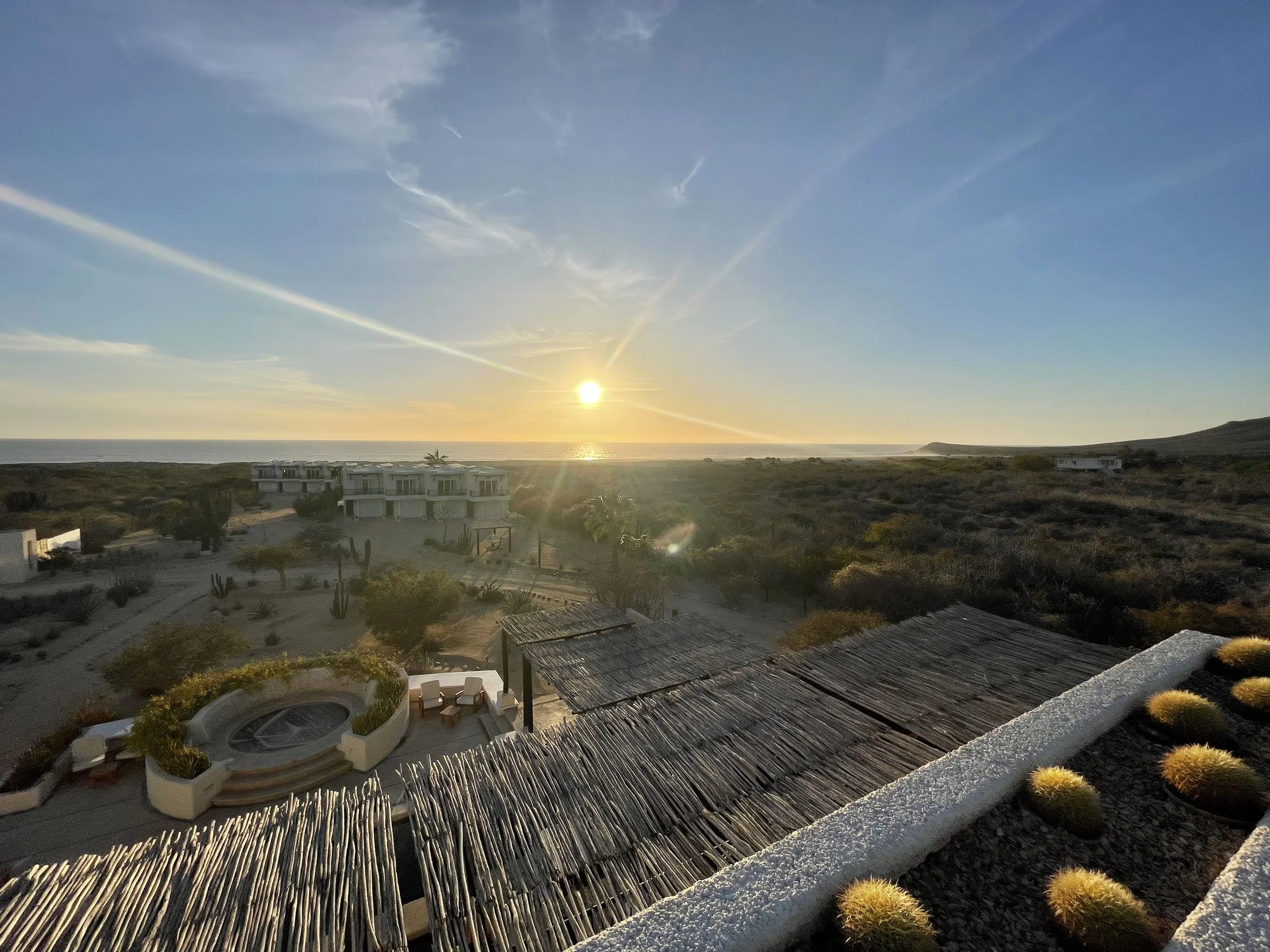 rooftopsunrise.jpg