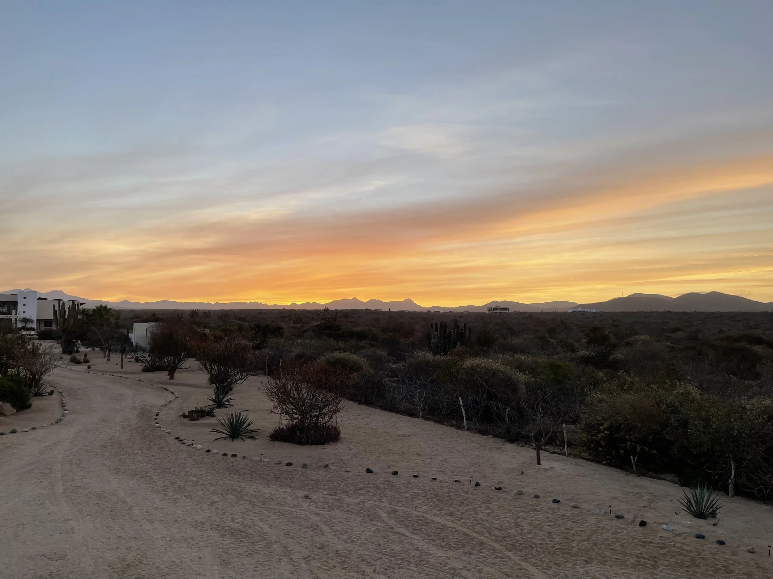 sunrise.jpg