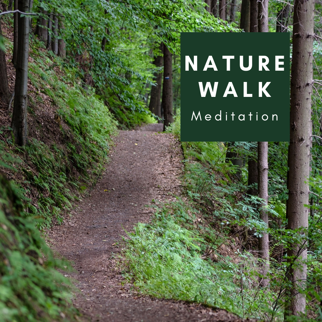 A Nature Walk Meditation, Happy Earth Day!