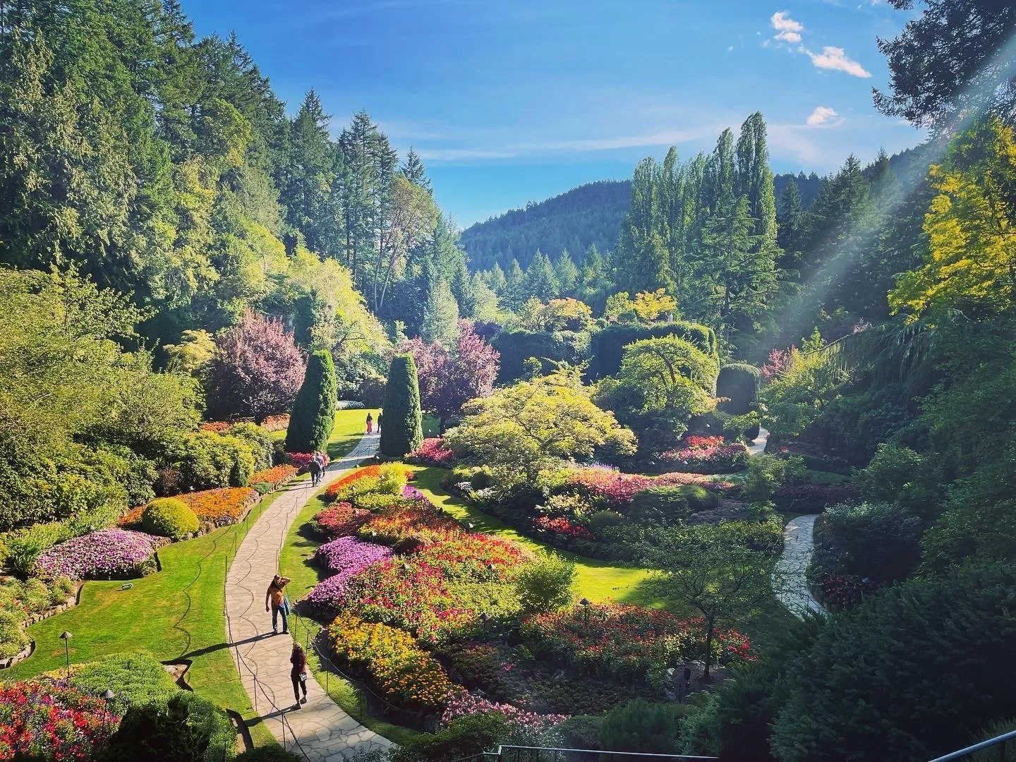 In gratitude for an incredible Summer☀️