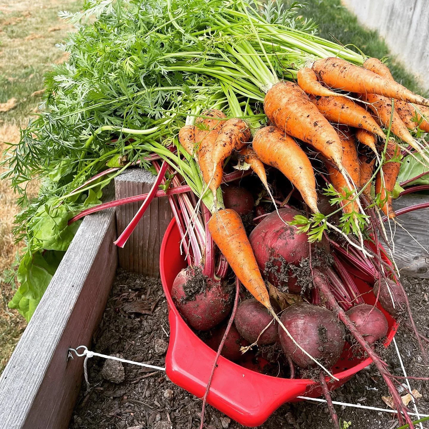 'Twas a good harvest!