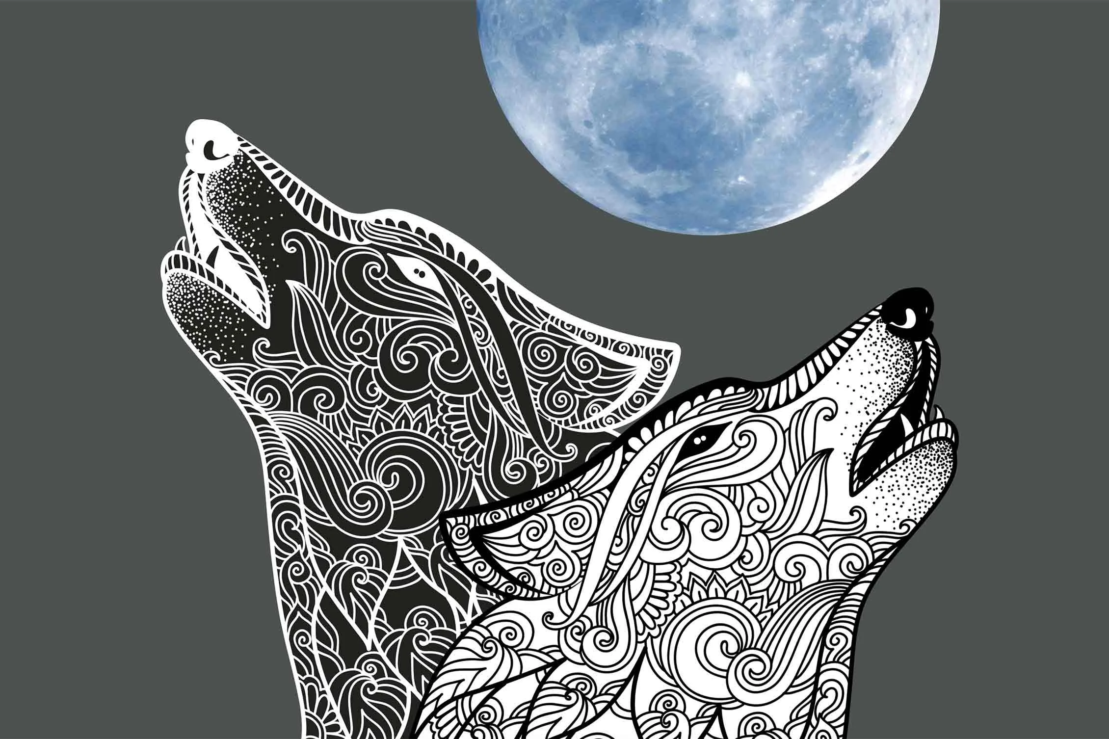 The Story of The Two Wolves: Native American Wisdom