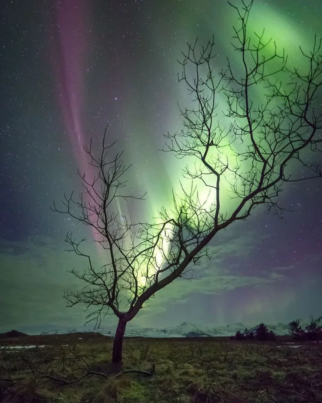 Moon Reading: New Moon in Capricorn