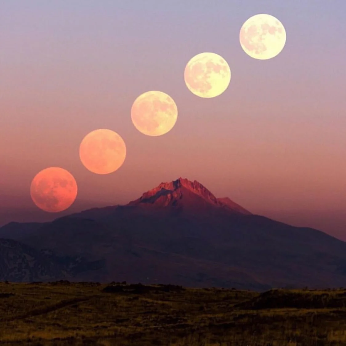 🌕Happy Full Pink Moon in Libra! ♎️Currently doing Disneyland with a big lovely group of my  in-laws after a weekend in Palm Springs witnessing the transition of my husband's Grandfather, all during Aries season with a potent Libra Moon so yea, lesso