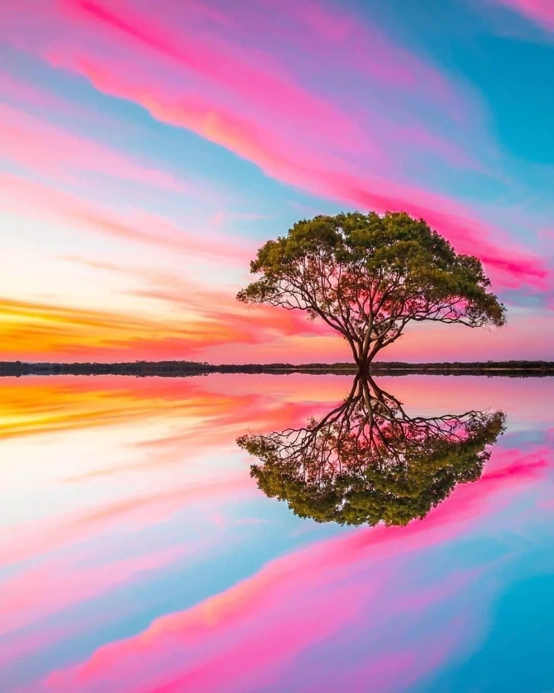 Moon Reading: New Moon in Leo