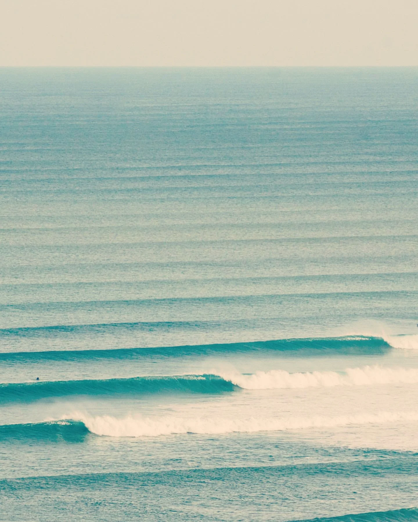 Moon Reading: New Moon in Scorpio