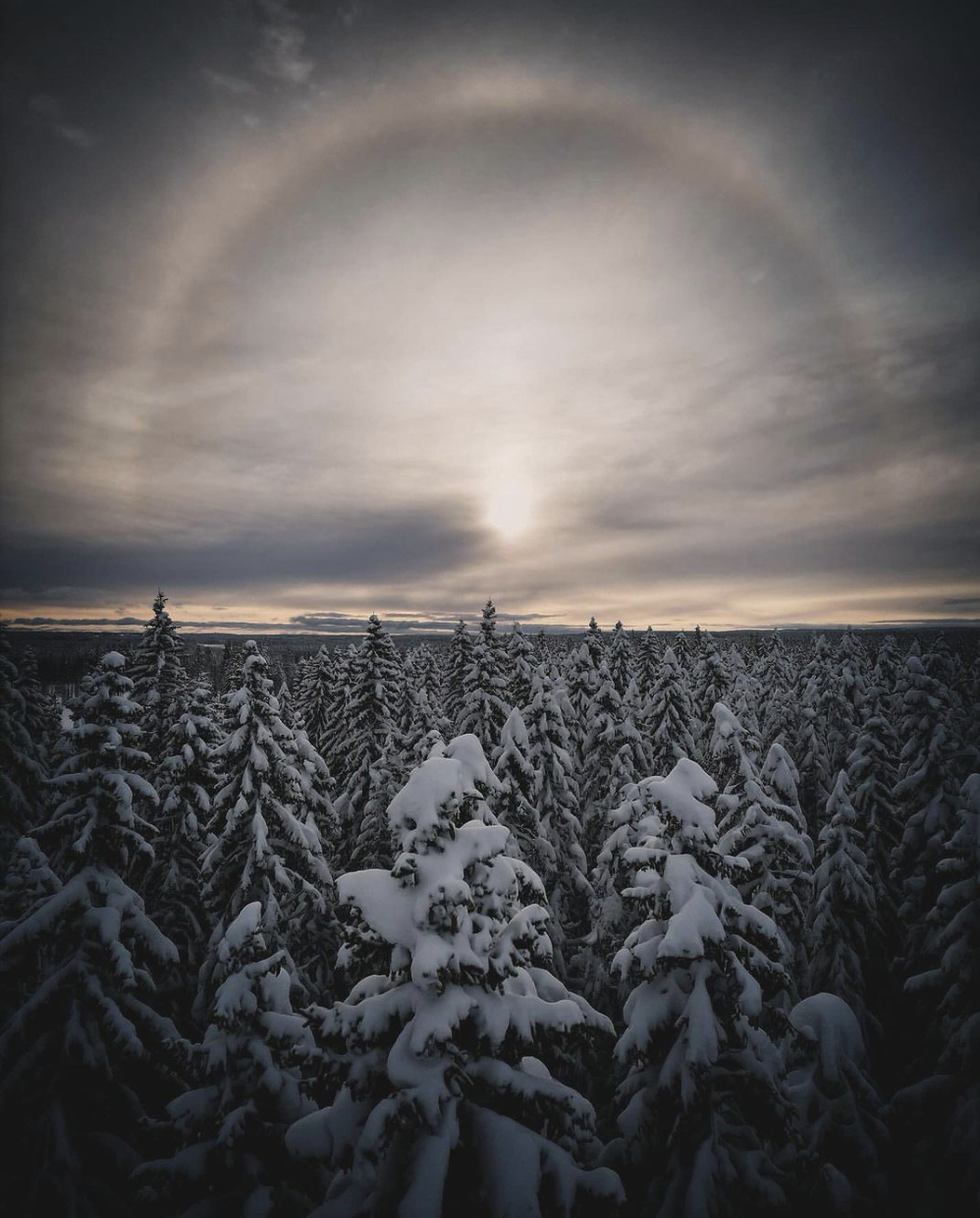 Happy Winter Solstice!