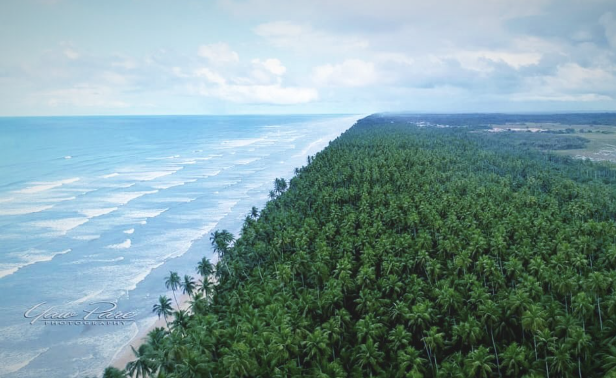 Moon Reading: Full Moon in Cancer