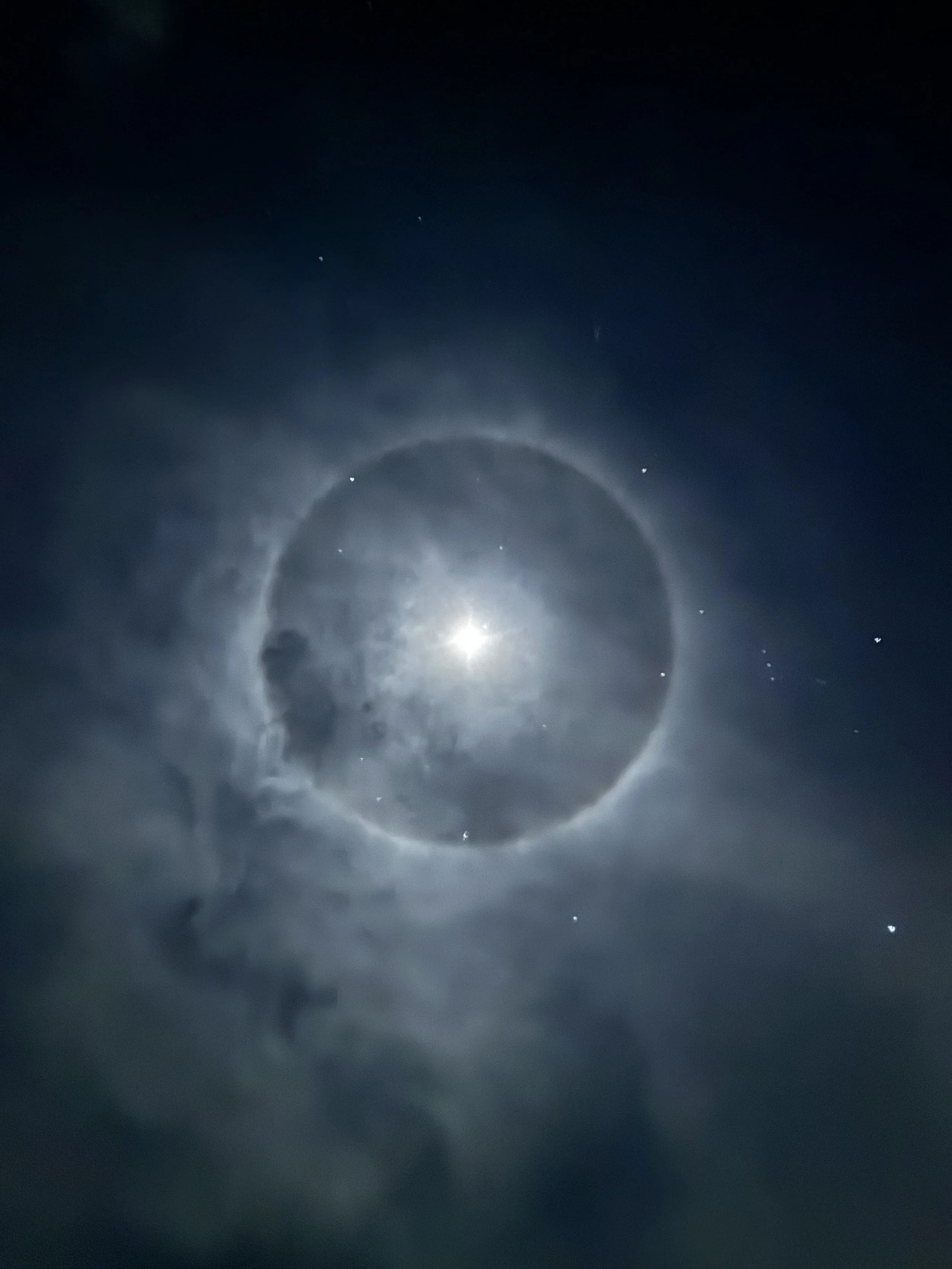 Moon Reading: Full Moon in Leo