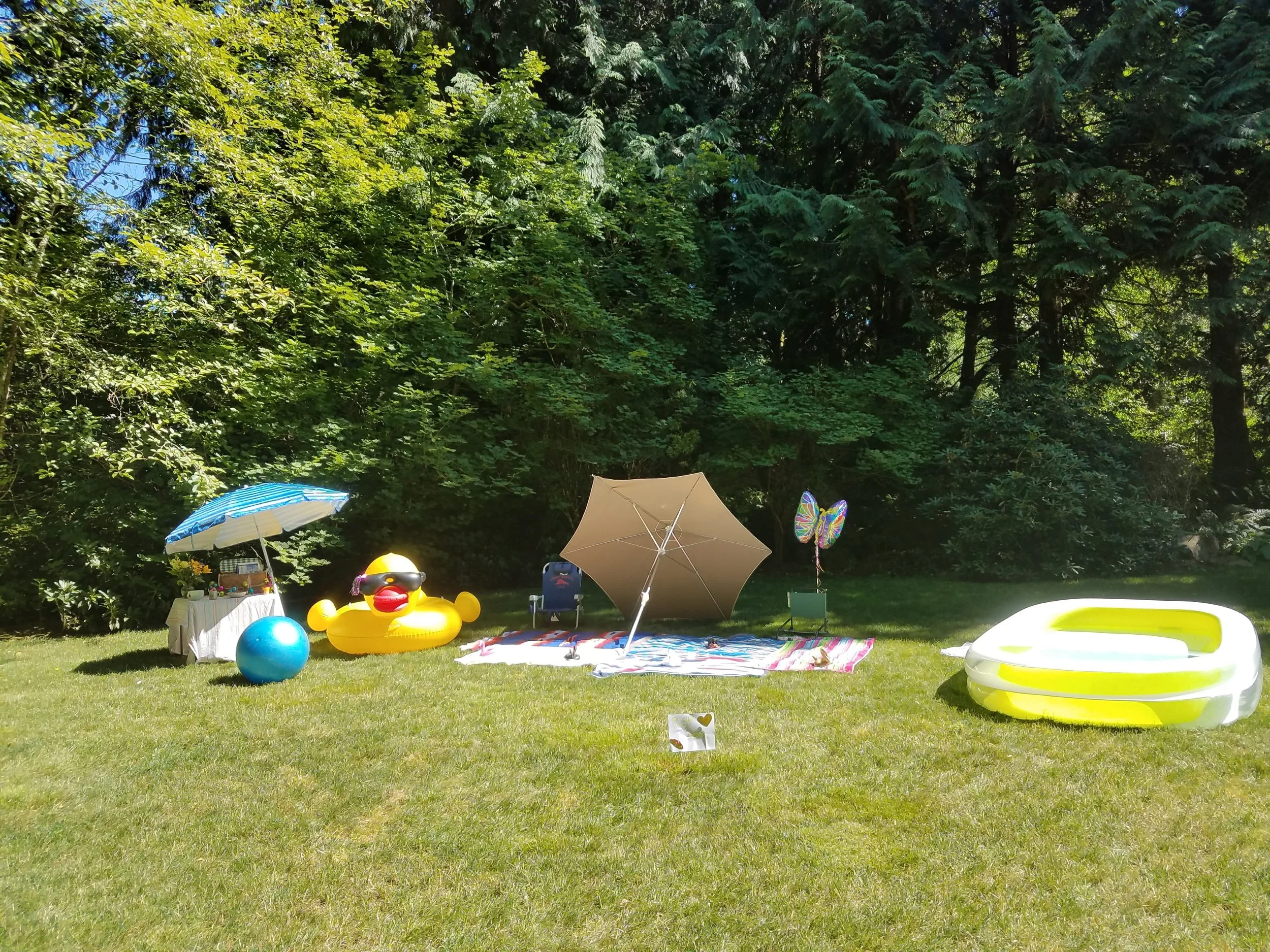 20170722_152355.jpg