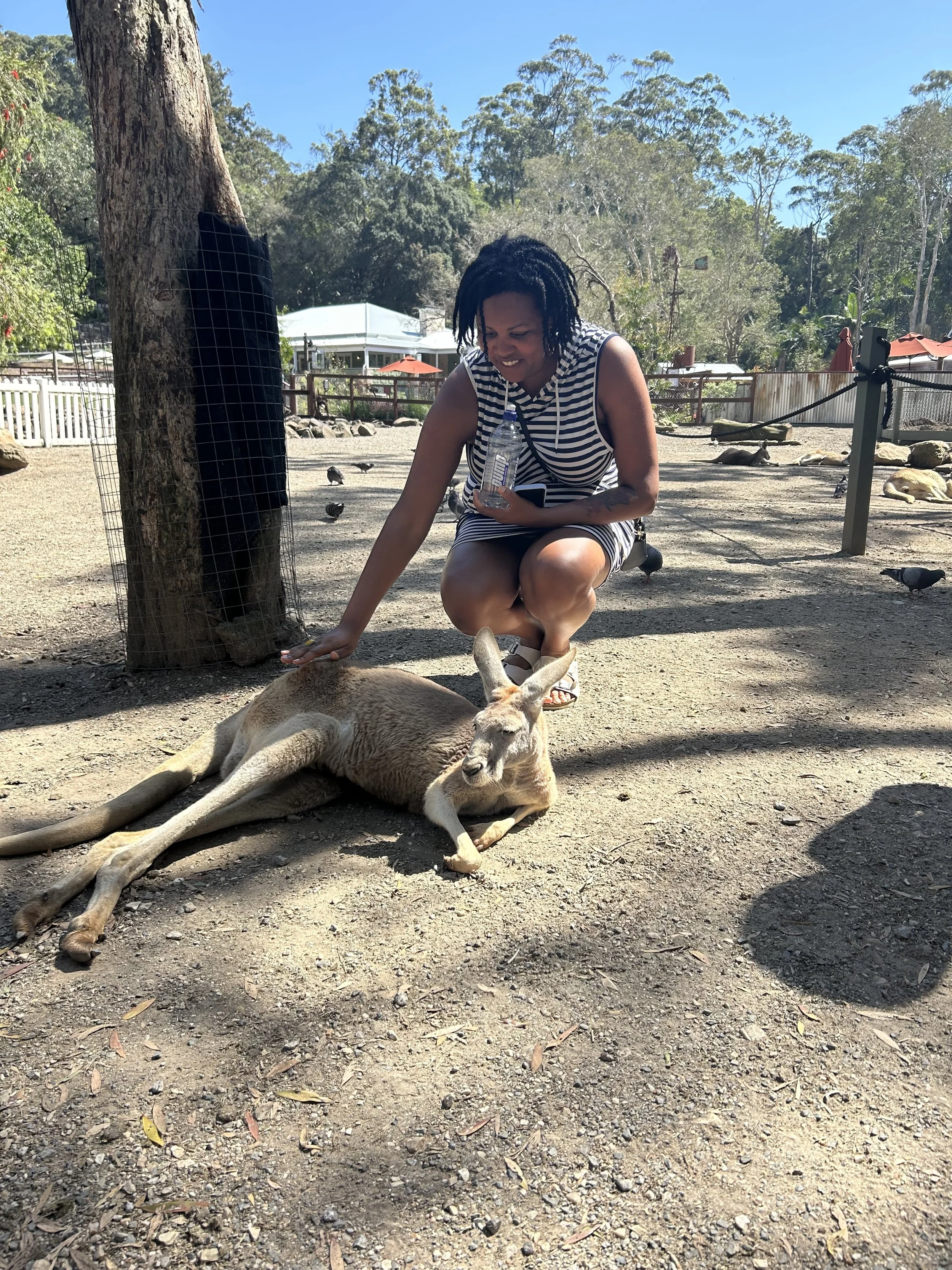 Kangaroo Currumbin Wildlife Sanctuary